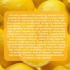 LOCRED Supercalm Powdered Drink Mix, Raspberry Lemonade, L Theanine, Ksm-66 Ashwagandha, Magnesium Glycinate, Vitamin D 3